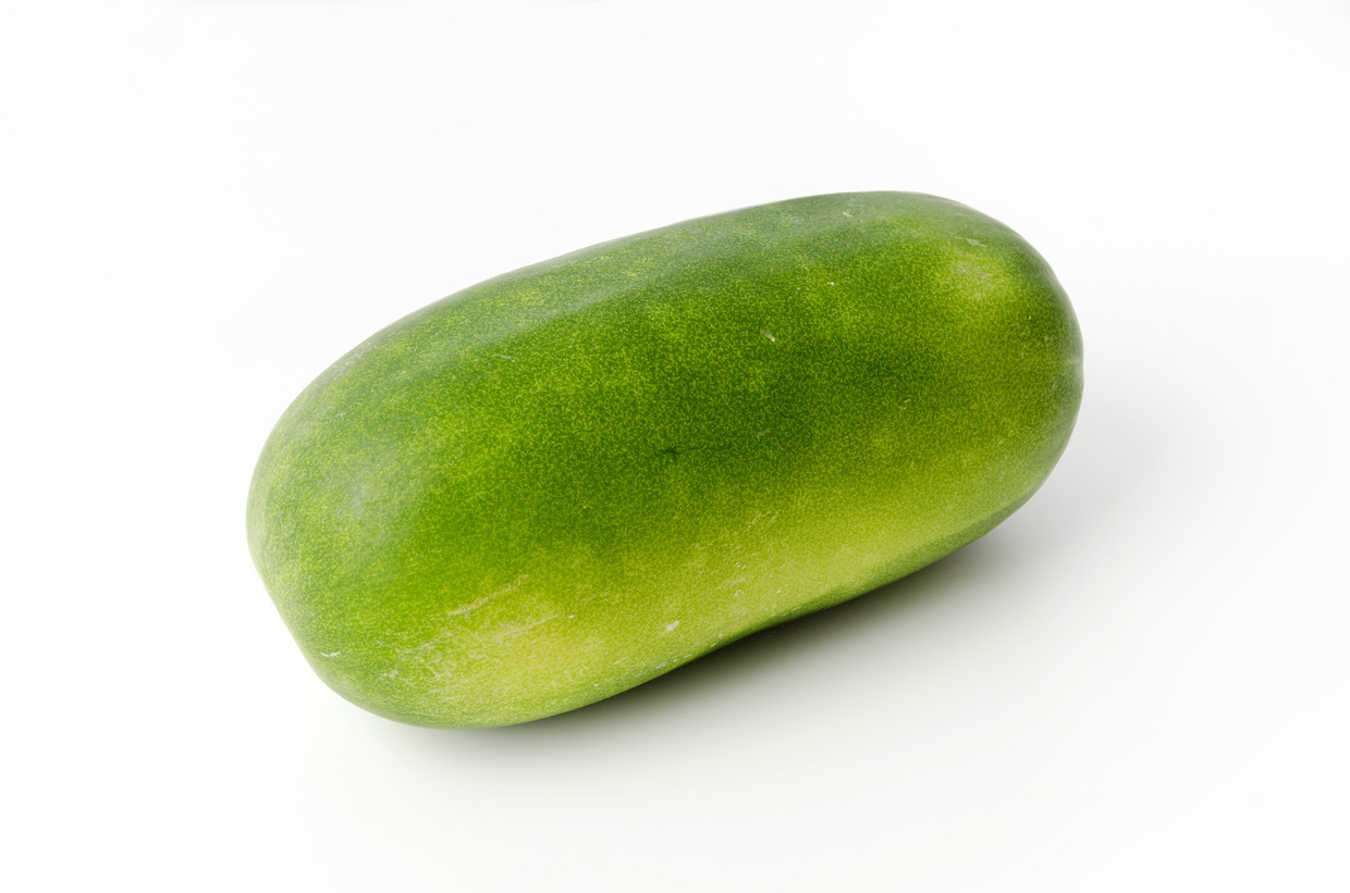 173 トウガンの収穫ハタムスビ野菜作りムービー２