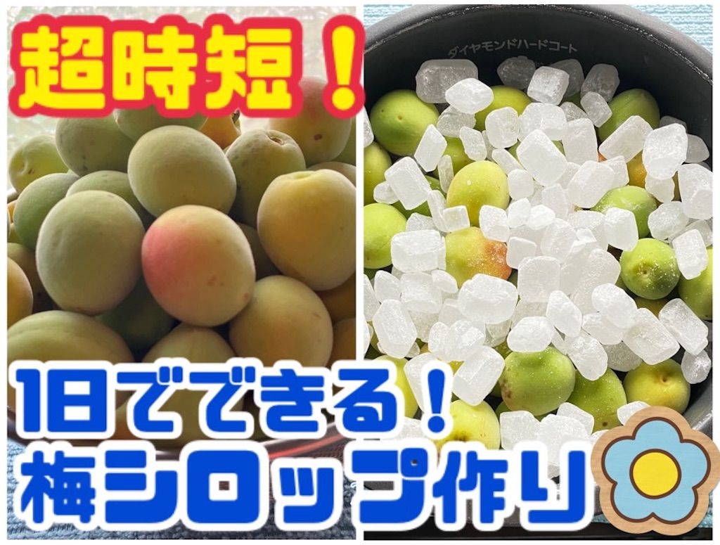 基本からアレンジまで！思わずつくりたくなる「梅シロップ 炊飯器」のレシピ集クックパッド