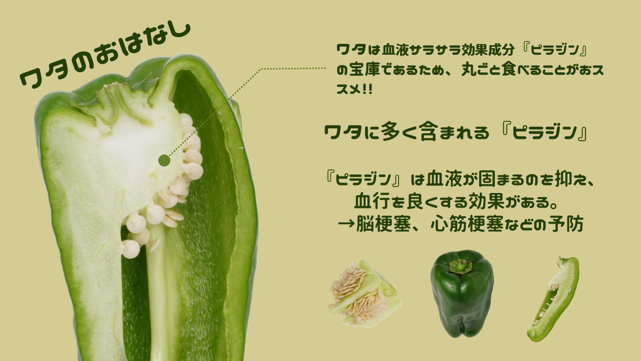 ワタやタネを食べる！？ピーマンの栄養を逃さず食べるためにブログ産地直送ピーマンは高知土佐の地植田ファーム