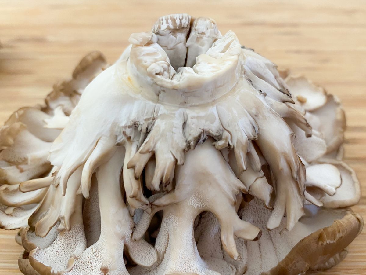 舞茸 まいたけ の石づきはどこで切るのが正解？意外な真実が！元スーパーの店員が解説ぱるとよ 食材ブログ