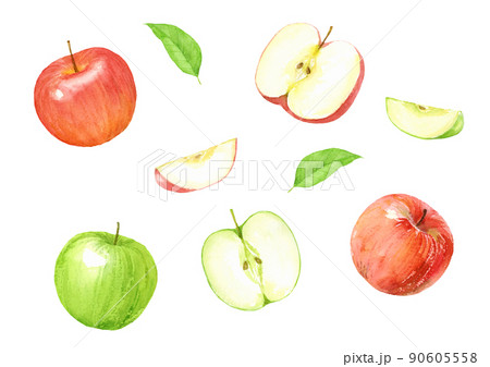 恋空りんご 断面 写真素材5701600- フォトライブラリ