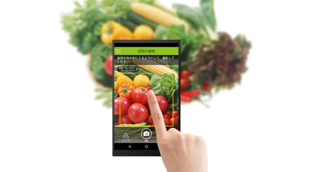 概要 食品分野におけるメタボリックプロファイリング ～成分、産地、品質評価・向上～