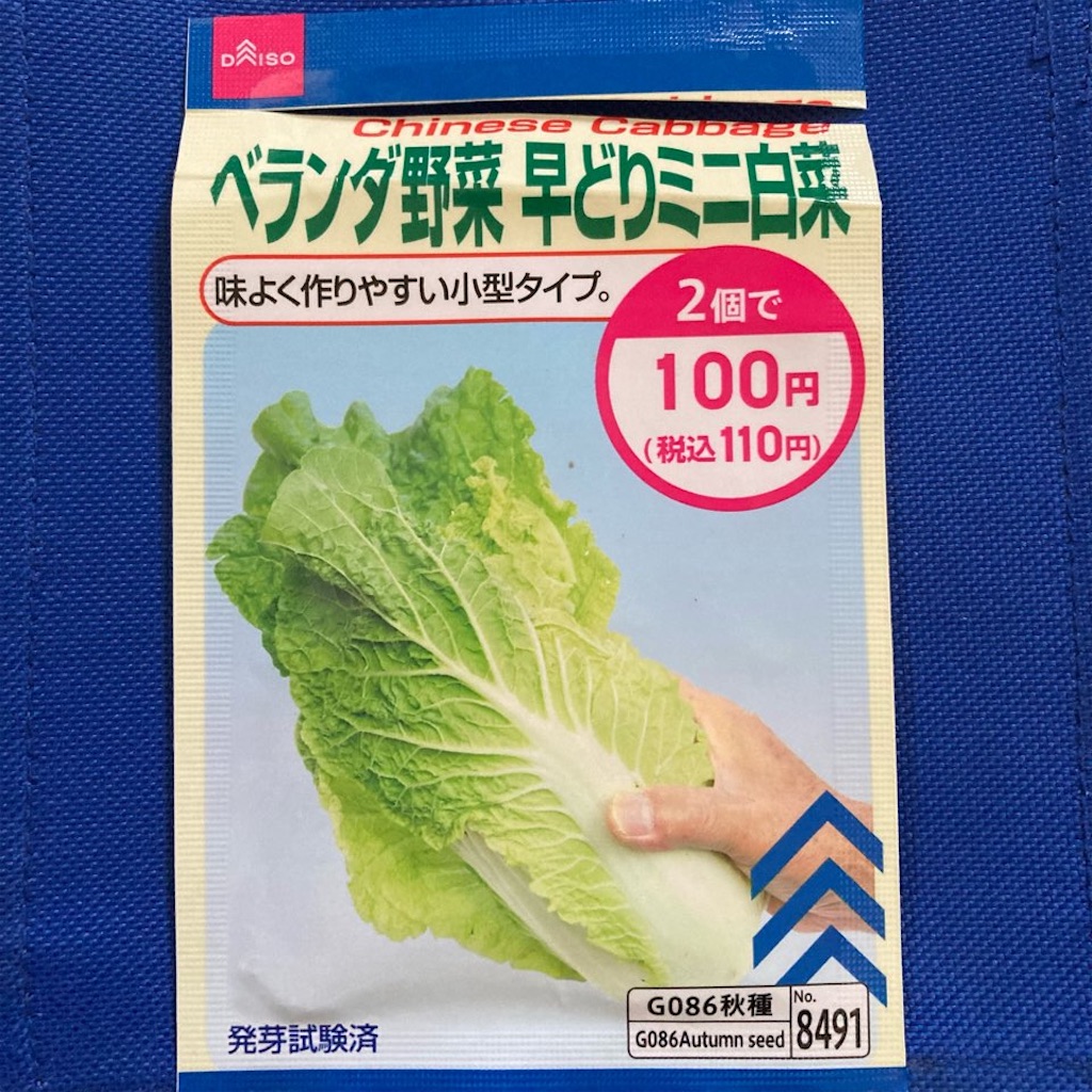 ヒタチエ ミニ白菜が入荷しました。 無印良品
