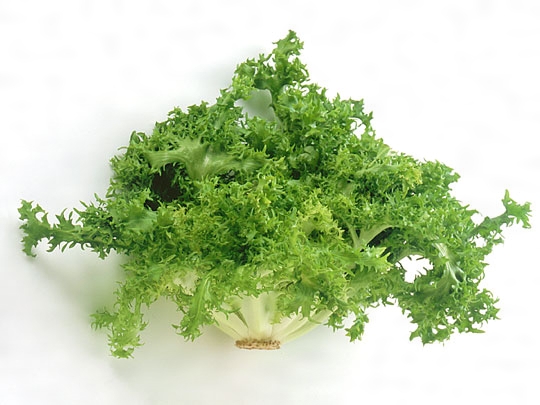 青森県ふじもり農園西洋野菜名前当てクイズ あなたはいくつわかるかな？まるごと青森