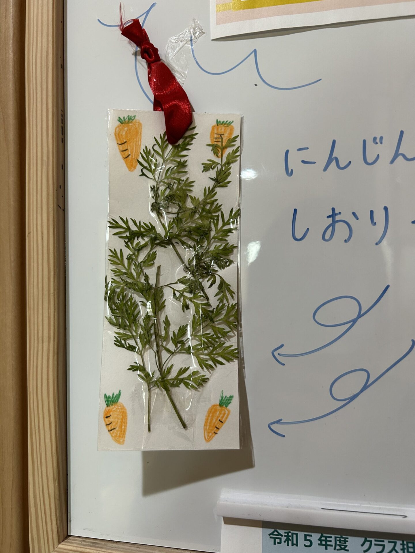 春菊とニンジンの葉っぱの鍋の写真・画像素材-Snapmart スナップマート