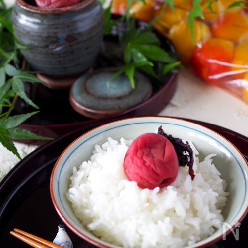 梅レシピ赤紫蘇を使った梅干しの漬け方梅干し通販店 五代庵