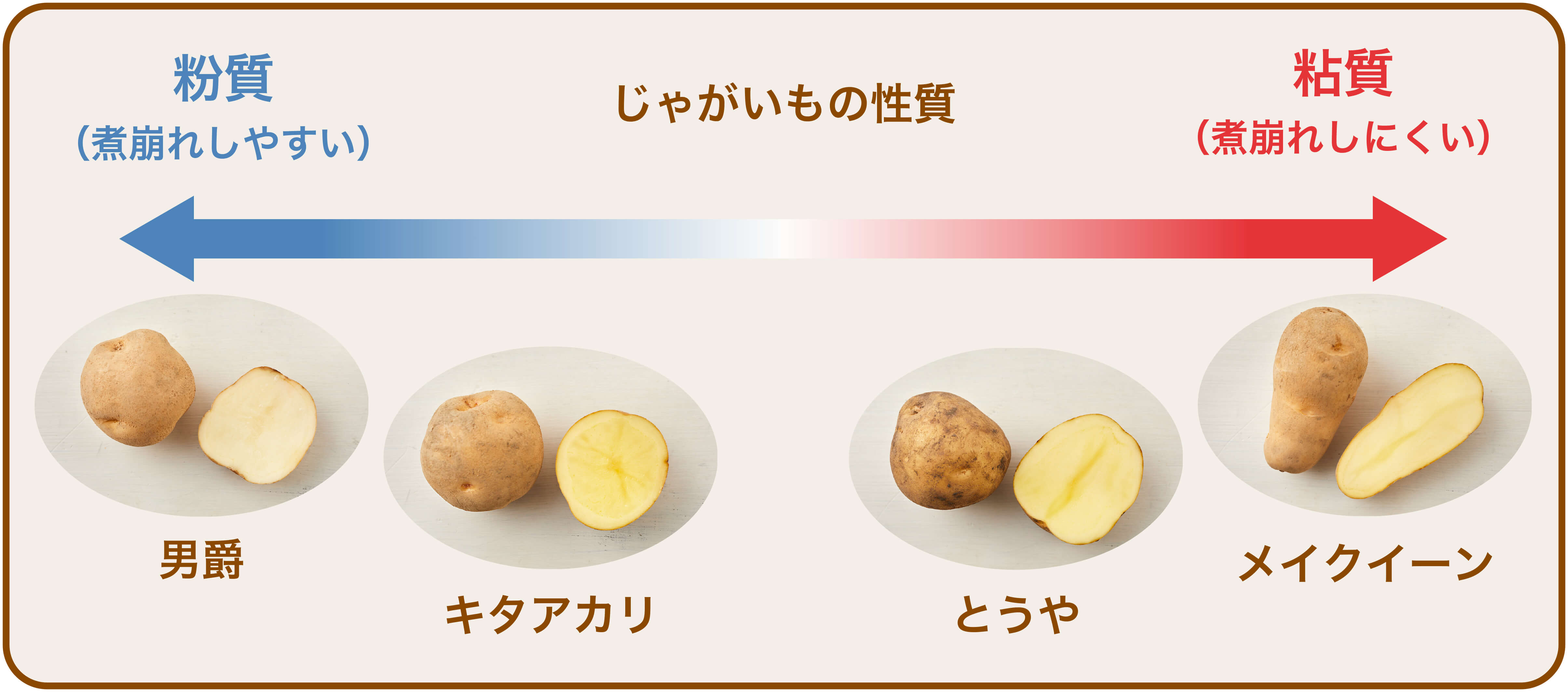 柔らかじゃがいもたっぷりのカレーライス♪旬を味わう お手軽レシピ JAグループ