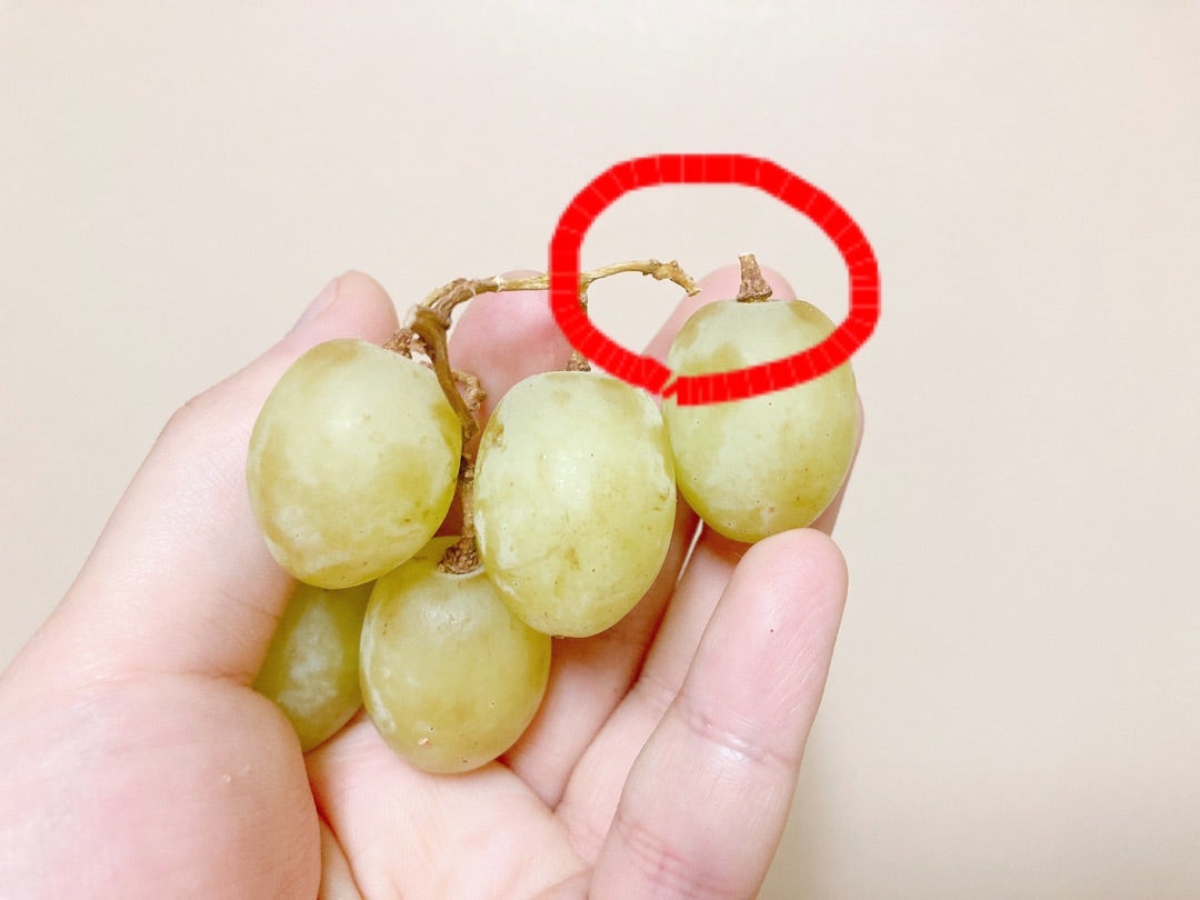 コストコのグリーンシードレスグレープが、激うまに変わった！！栄養士ママそっち～の簡単美味しいサイクル献立