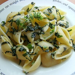 ジェノベーゼだけじゃないよ！美味しいハーブ「バジル」を使ったレシピキナリノ