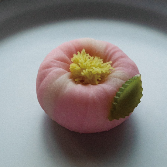 冬の練り切り 名古屋で和菓子を楽しむ教室 クリスマス練り切りお菓子教室 U rond ～ゆーろんど