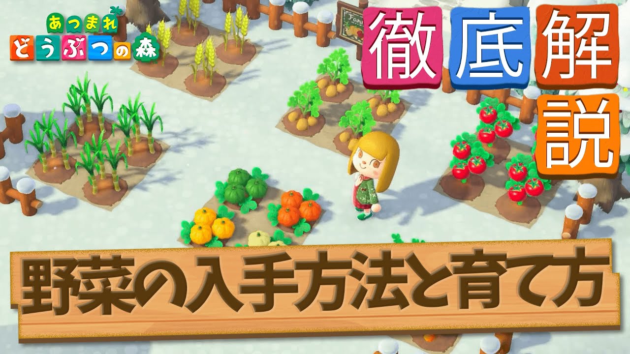 あつ森 野菜の入手方法と苗の種類売値 あつまれどうぶつの森 ゲームエイト