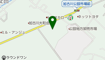 Amazonかりんとう饅頭「鬼の金棒」36個入り 有 京家 新潟県加茂市ノーブランド品まんじゅう 通販