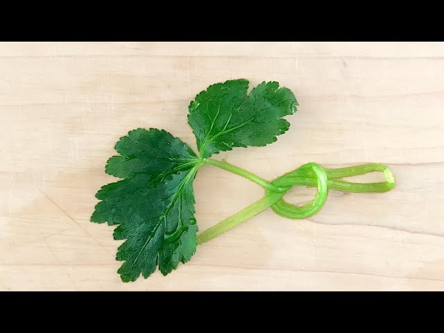 三つ葉香る 昆布出汁のお雑煮