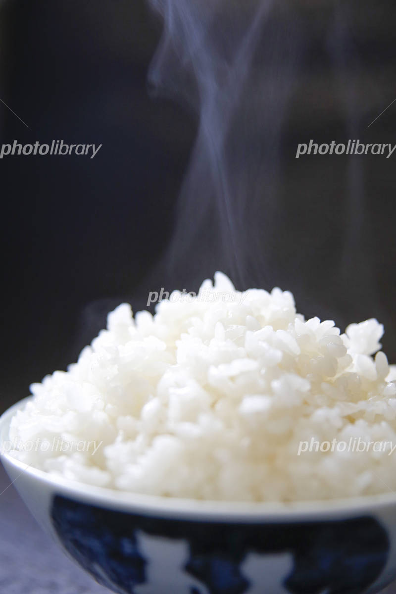 ご飯無料イラスト素材 TOSURAI