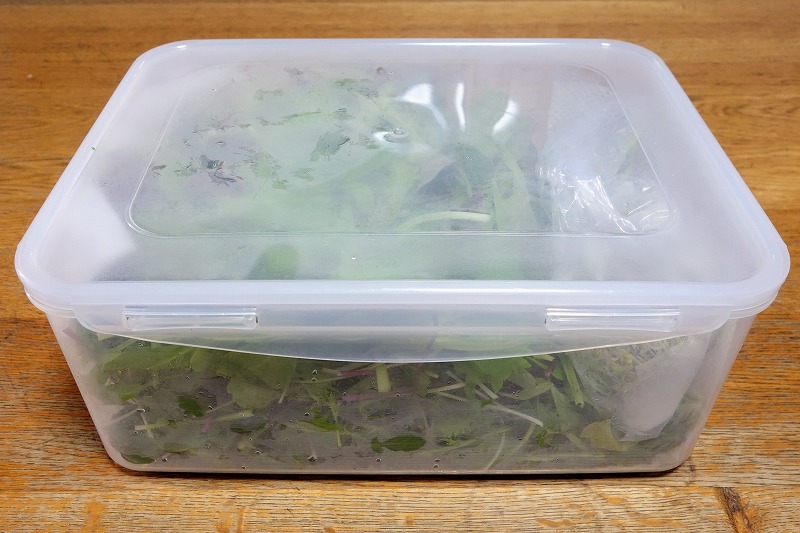 レタス、サニーレタス、グリーンリーフの保存方法