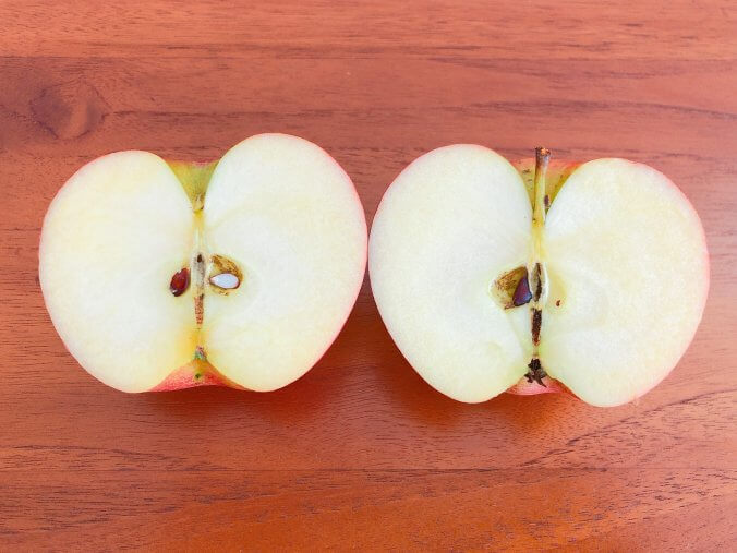 リンゴ 断面のイラスト素材 - PIXTA