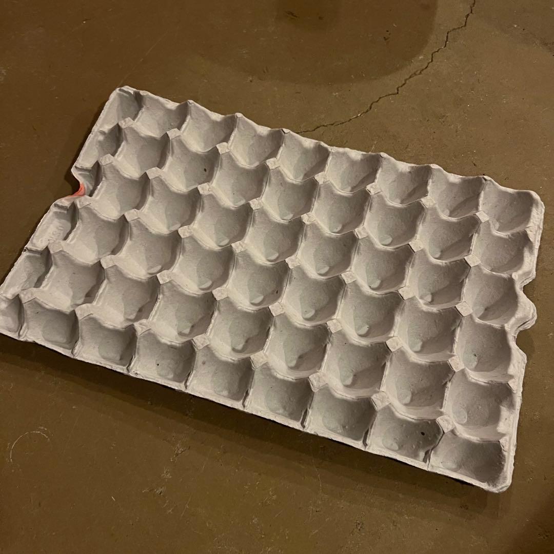 簡単DIYで素敵！紙の卵パックを使ってオシャレな雑貨にしちゃおう - PAJOLIS.comパジョリスドットコム