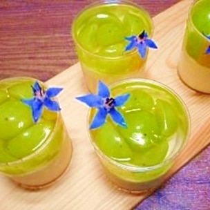 明治メイバランスソフトJelly ゼリーバナナヨーグルト味の詳細介護食品・栄養調整食品の通販・宅配ならヘルシーネットワーク