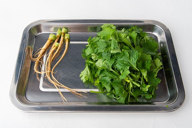 パクチー苦手でも安心！ベトナムでパクチーを避ける方法とおすすめ料理を紹介