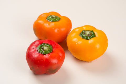 ズッキーニ 緑・黄野菜と果物事典Salute Kitchen Supported by Funasho