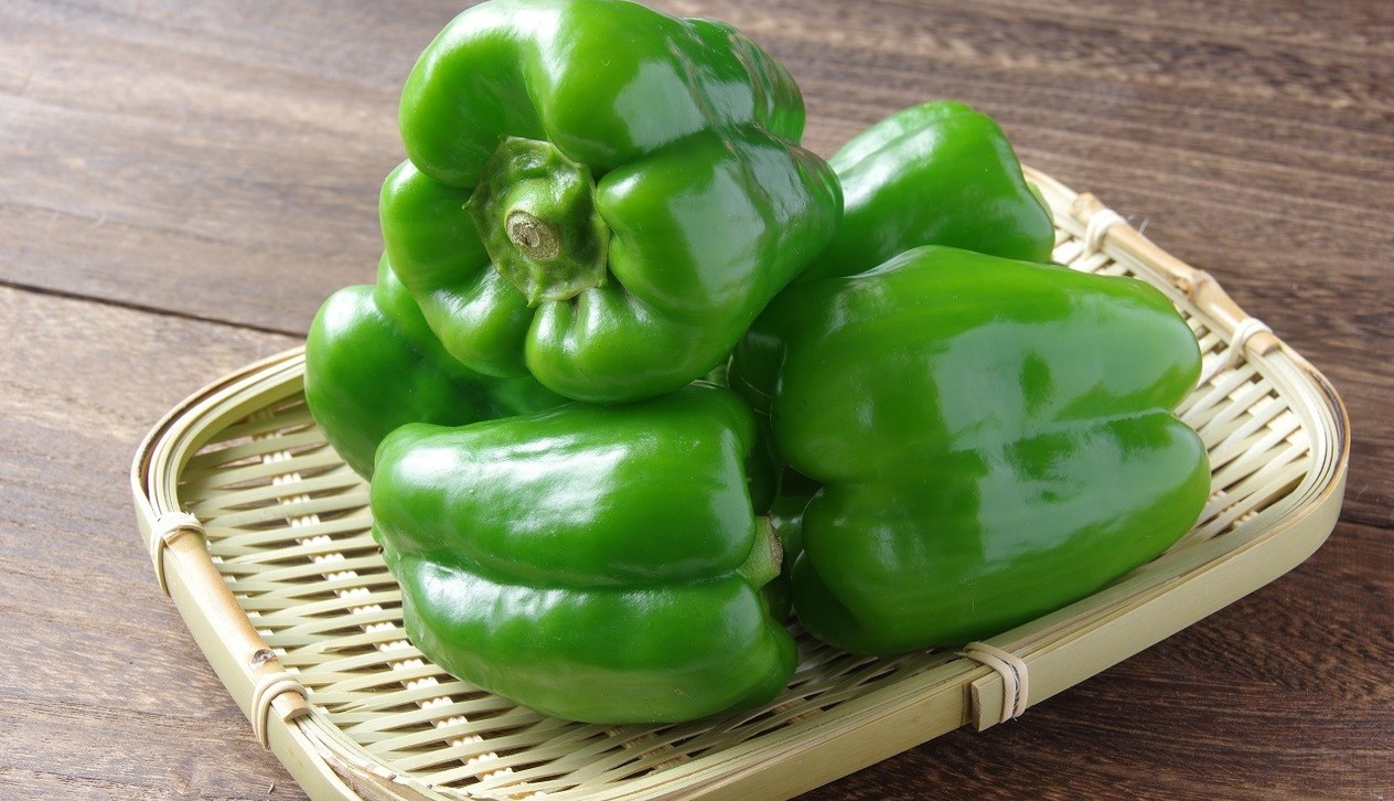 パリパリピーマン」10選肉味噌と一緒にレシピサイトNadia