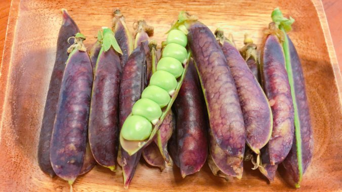 実えんどう グリーンピース エンドウの選び方と保存方法や料理：旬の野菜百科