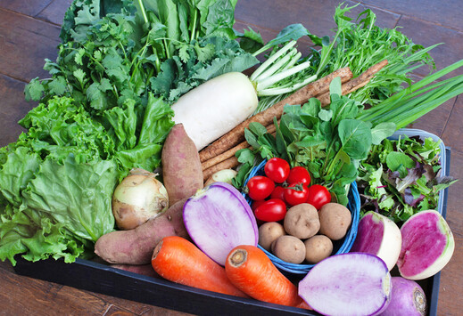 緑色の野菜にはどんな種類や特徴がある？ バランス良く食べるコツをご紹介コープ・生協の宅配コラム