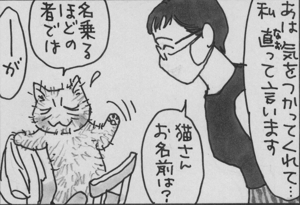 夜廻り猫 居酒屋ワカル」単行本発売記念！ オンライントークイベント開催決定 - コクリコ講談社