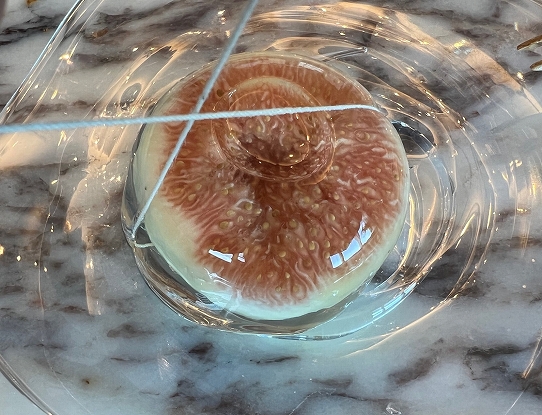 水晶フルーツゼリー ひんやりプルルン♪ホットクック部