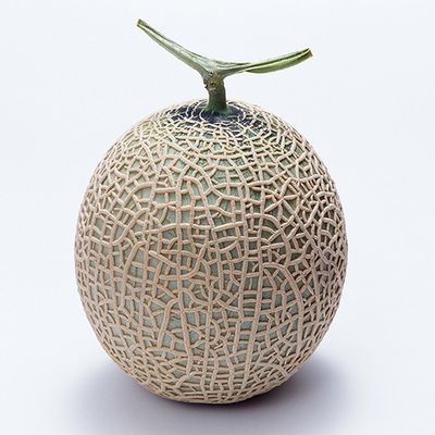 季節のパフェが メロンパフェに変わりました！ 手作りフローズンヨーグルトと メロンが 爽やかで みずみずしい味わいです。 是非召し上がりにいらしてください。イワタコーヒー店イワタコーヒー鎌倉メロンパフェ