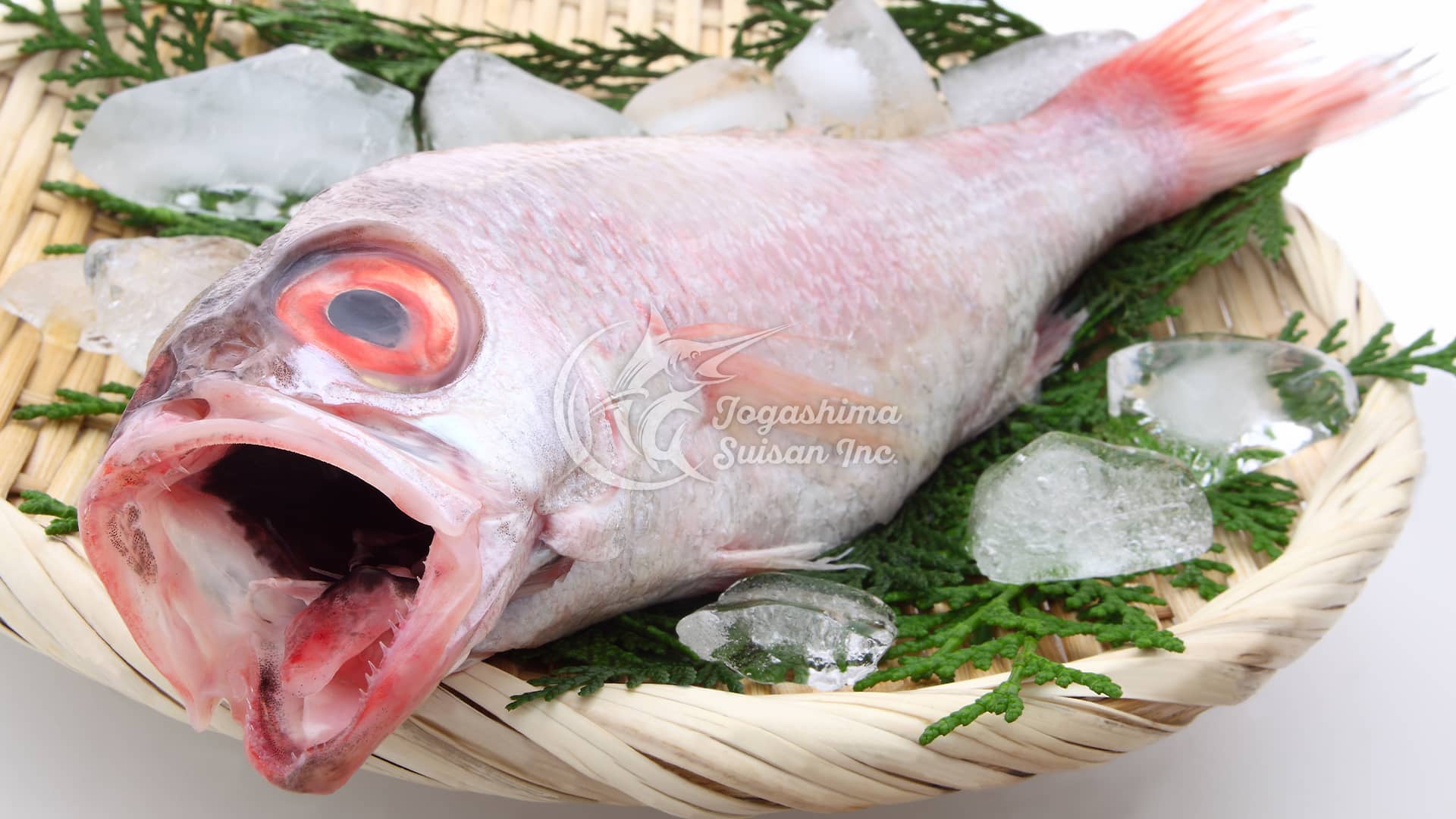 A級英語習得:数の子 かずのこ @ニシン卵＆卵巣>塩漬けor乾燥＞珍味>縁起物＞お正月料理！ -インバウンドビジネス最前線の方々へ！AIの上に立つ情報収集をアシスト