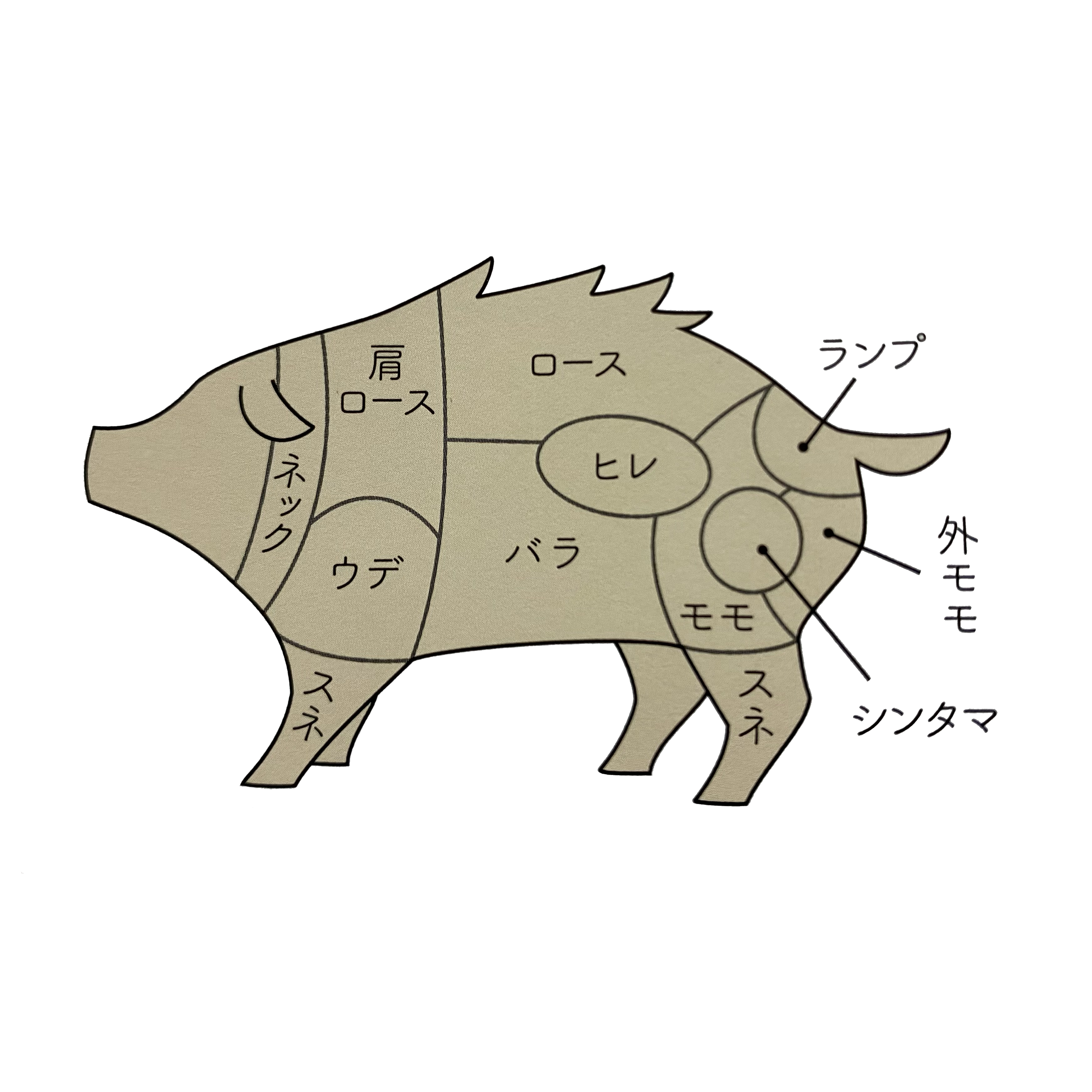 肉道大百科 おすすめのBBQ向け「イノシシ肉」＆レシピあまり他では扱っていない高級・希少肉の、専門店「肉道」