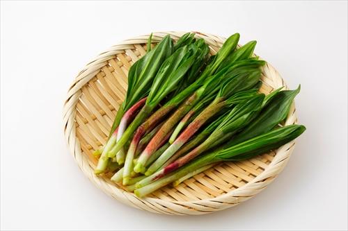 年に一度のお楽しみ 行者にんにく アイヌネギ って、どうしてこんなにおいしいの？食べレア北海道北海道の食材お取り寄せ通販サイト
