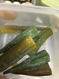 オクラに見られる黒いものはカビ？食べられる？見分け方を解説！心地よい生活のためのアイデア帳