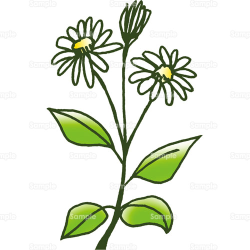 七草粥のイラスト季節行事の無料イラスト素材集