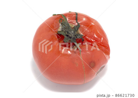 腐ったトマト - No: 1067881写真素材なら「写真AC」無料 フリー ダウンロードOK
