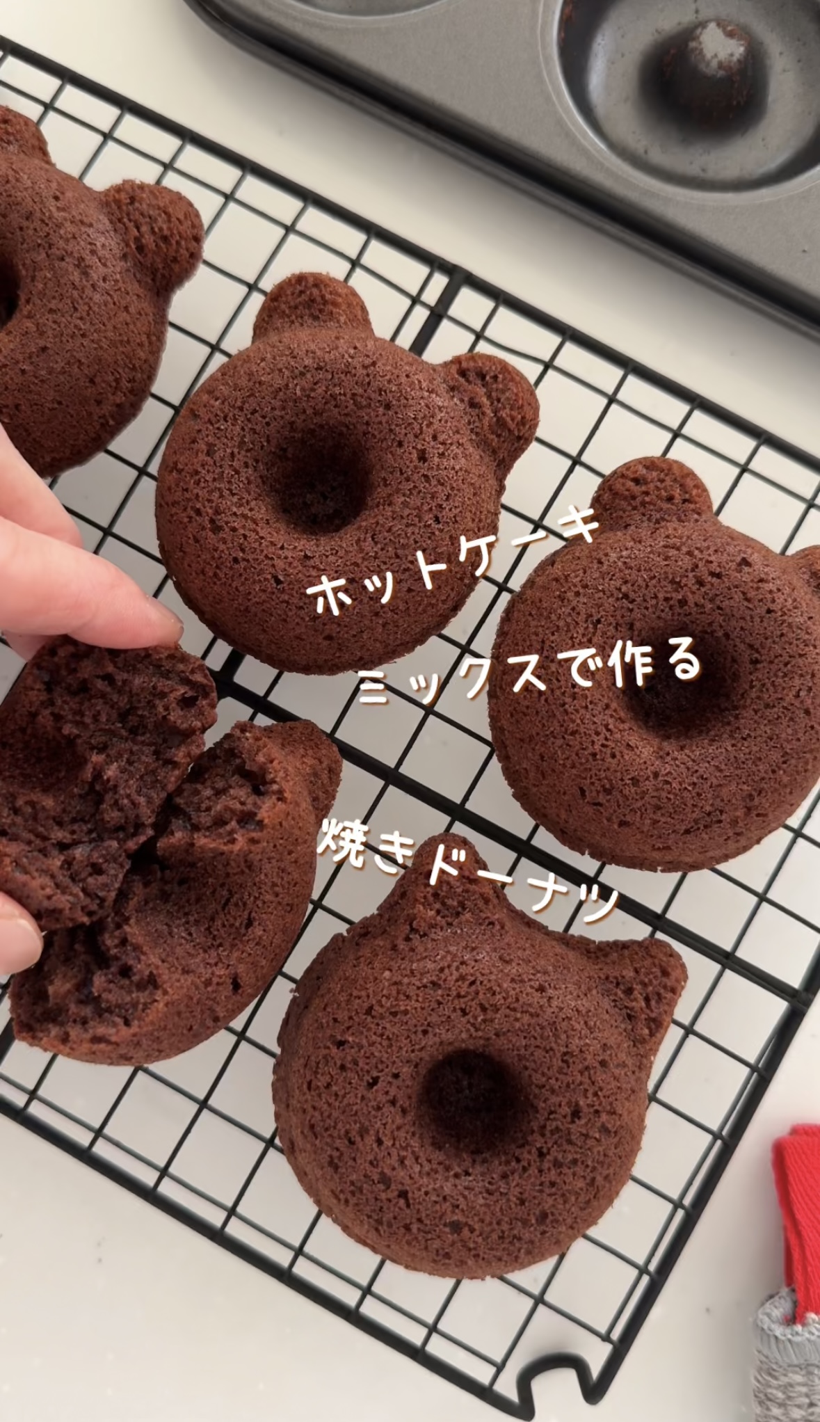 焼きドーナツギフト 個包装12個入り箱ふんわりやさしい味わい「焼きドーナツ」甲子園ギフト パティスリーベルン オンラインショップ