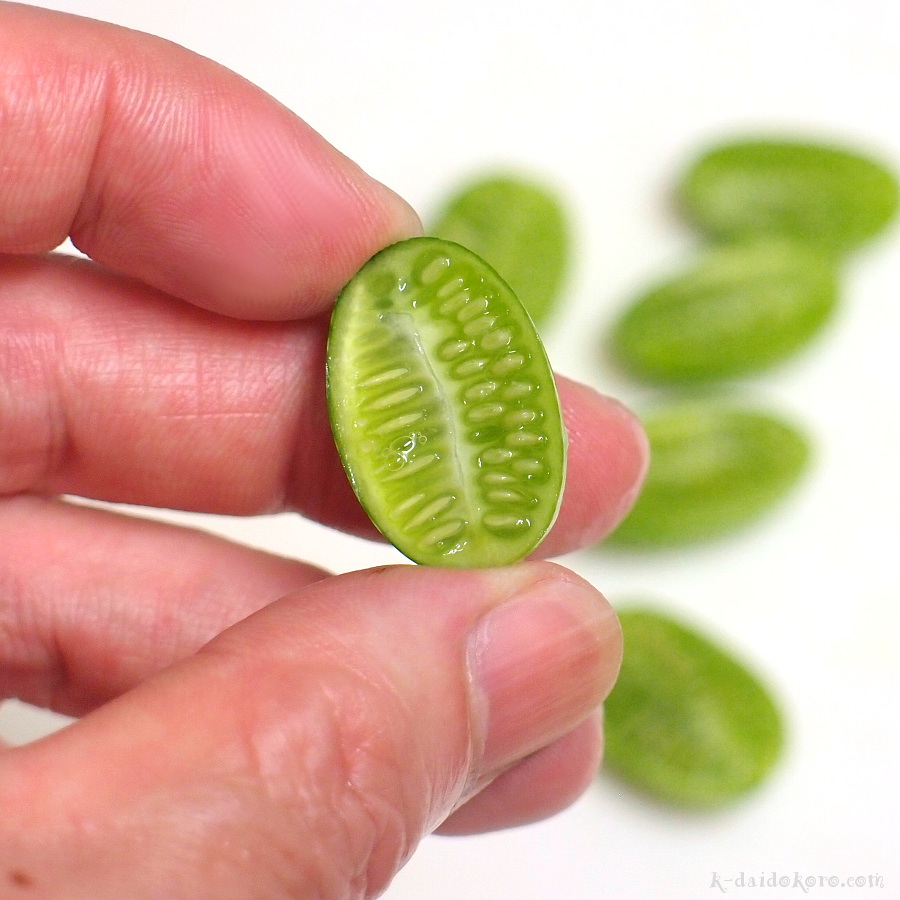 こんばんは🌙 道の駅うすいです🍎 この野菜、なんだかわかりますか？？ マクワウリ、というウリ科キュウリ属の植物なんです！ メロンの仲間であり、日本では古くから栽培されており、縄文時代早期の遺跡からも種子が発見されているそう。ほどよい甘みとさわやかな風味が