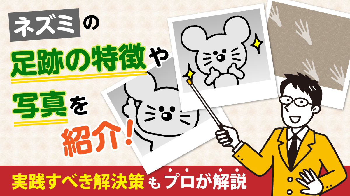 @masami777777's video Tweet