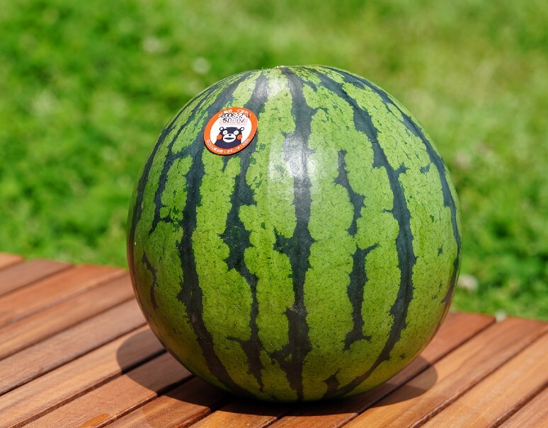 よくなる赤大玉スイカホームセンター ビバホーム DIYからリフォームまで暮らしをもっと快適に