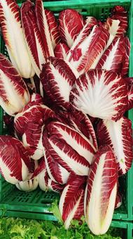 MADE RIGHT HERE！便利なカット野菜や半調理食品、デリに力を入れる、米国オーガニックスーパー – Organic Press