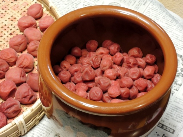 干さない梅漬けてみました