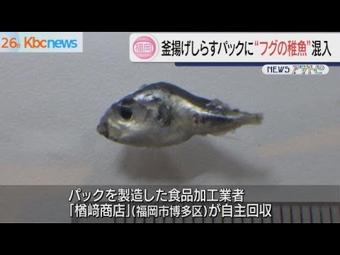 アユのしらす おいしさ発信 放流用養殖の余剰稚魚 干物会社が活用：北陸中日新聞Web
