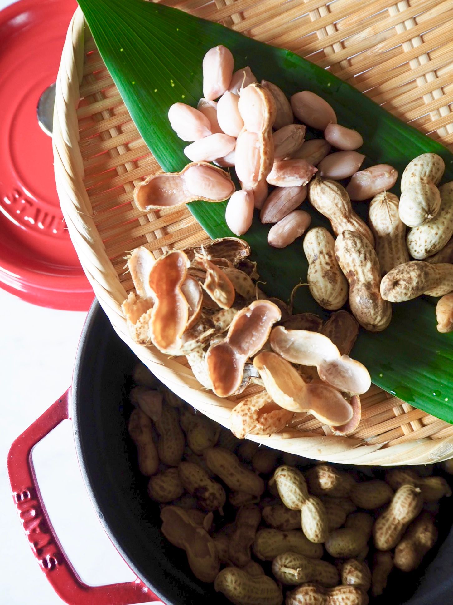 ほくほく甘い生落花生のゆで方をプロが解説。塩ゆでして食べられるのは秋だけ！三越伊勢丹の食メディアFOODIE フーディー