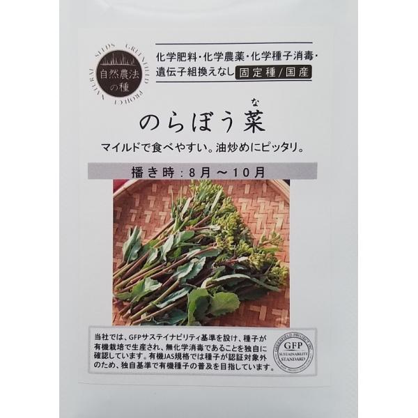のらぼう菜、かき菜の育て方・春一番に収穫出来る菜の花の栽培方法 追肥をして長く収穫をするコツ 23 3 25