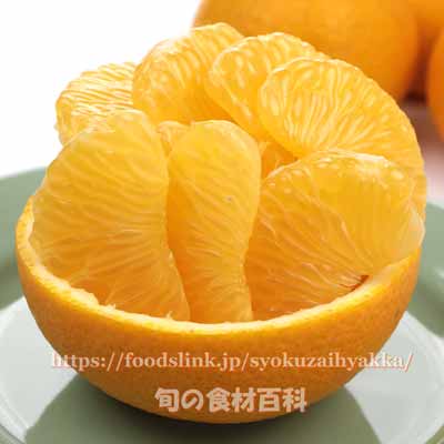 はっさくの皮の剥き方硬い皮でも簡単に剥ける！コツはある？コジカジ