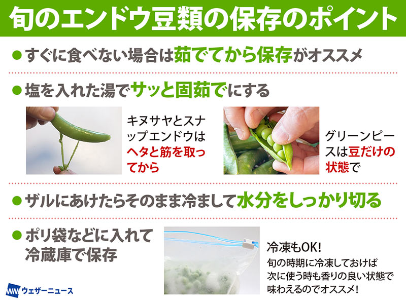スナップエンドウの茹で時間はどれくらい？最適な茹で方を解説