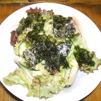 きゅうりがいくらあっても足りない！」包丁を使わずポリ袋で簡単 きゅうりの韓国のり和え 時短レシピ 低空飛行キッチン- エキスパート -Yahoo!ニュース