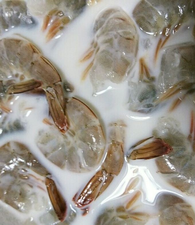 赤海老 下処理 臭み取りTikTok