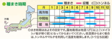 野菜 Q.大根を切ったら中が青くなっている。 – ポケットマルシェ